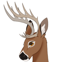 Bep-1256: Buck