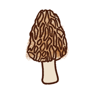 <a href="https://www.bepotelkh.com/world/items?name=Autumnfound Morel" class="display-item">Autumnfound Morel</a>