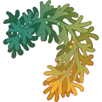<a href="https://www.bepotelkh.com/world/items?name=Seaweed Wreath" class="display-item">Seaweed Wreath</a>
