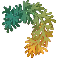 Seaweed Wreath