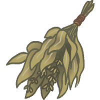 Dried Herbs