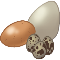 Eggs