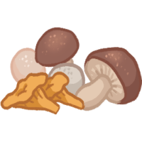 Mushrooms
