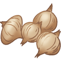 Tubers