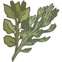 Wild Herbs