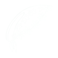 Aitielkh Shawl