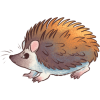 <a href="https://www.bepotelkh.com/world/pets?name=Autumnfound Hedgehog" class="display-item">Autumnfound Hedgehog</a>