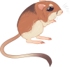 <a href="https://www.bepotelkh.com/world/pets?name=Kangaroo Rat" class="display-item">Kangaroo Rat</a>