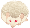 <a href="https://www.bepotelkh.com/world/pets?name=Hedgehog (Albino)" class="display-item">Hedgehog (Albino)</a>