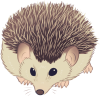<a href="https://www.bepotelkh.com/world/pets?name=Hedgehog (Standard)" class="display-item">Hedgehog (Standard)</a>