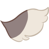 Short Tail