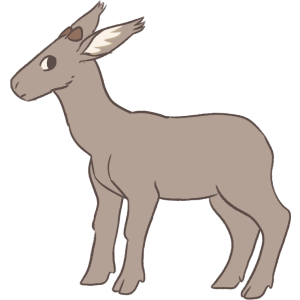 No Mane