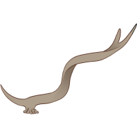 Kudu