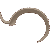 Ibex