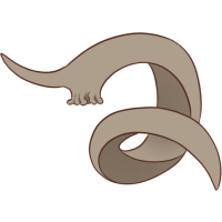 Corsican