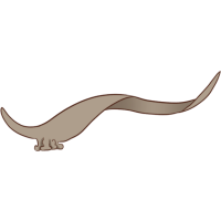 Capra