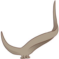 Bongo