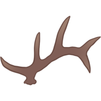 Wild Candelabra