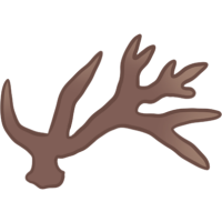 Ramosis