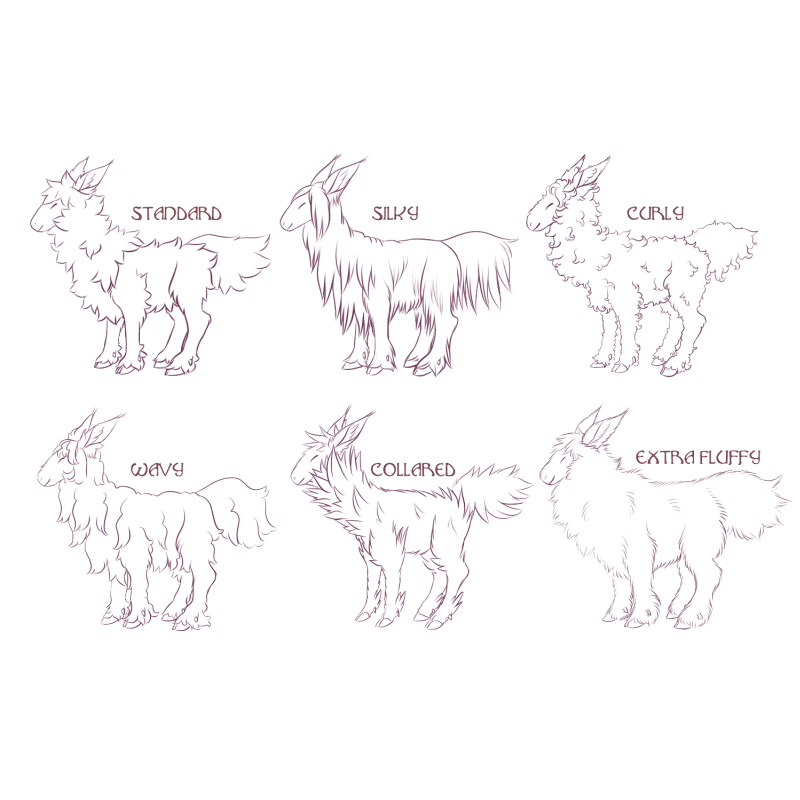Angora