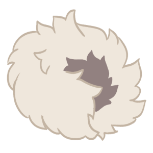 Curled Tail
