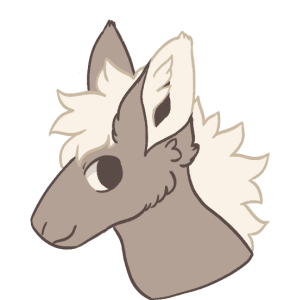 Coyote Ears