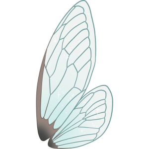 Fairy Wings