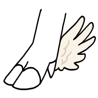 Habapi Feathered Ankles