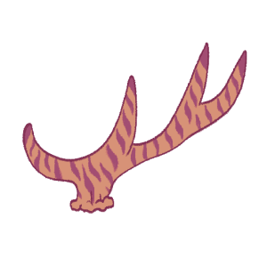 Antler Markings