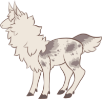 Splotch