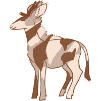 Calico (Sono)