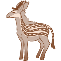 Lineatus
